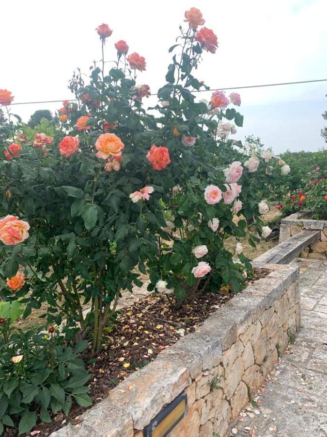 Il Giardino Degli Antichi Sapori Villa Ceglie Messapica Exteriör bild